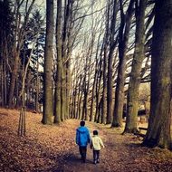 walk in the autumn forest
