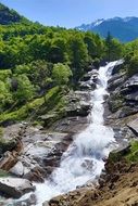waterfall in stones green foresr view