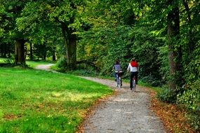 Cyclists are cycling in the forest