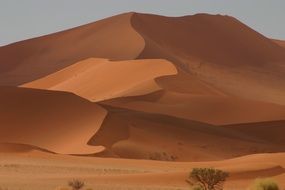 dunes desert landscape