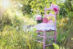 pink chair Pink hat in sunny grass