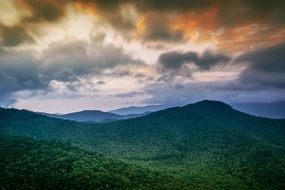 forest trees hills Cloud sky