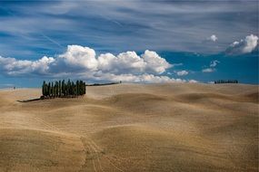 golden fields and green trees on a background of white clouds