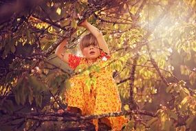 girl in yellow dress on tree