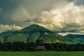scene of peaceful nature beauty