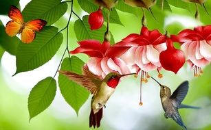 Beautiful and colorful flying birds and butterfly near the colorful flowers