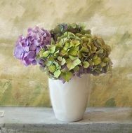 Drawing of the potted hydrangea flowers