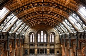 the natural history museum in london