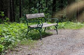 amazing beauty landscape of bench on trail in forest