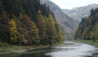 river in mountain valley, poland, pieniny