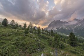 landscape of of green valley