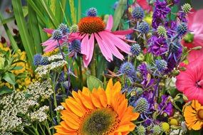 variety of summer flowers in a bouquet close-up