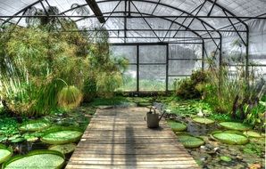 picture of the greenhouse