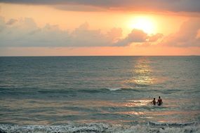 tourists swimming in the ocean