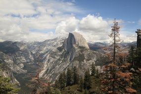 panorama of the rocks in the national park in Yosemite