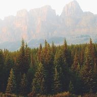 mountains and wild forest