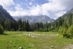 Valley on Tatry