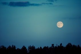 enchanting moon night