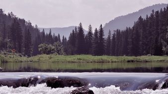 river and woods landscape