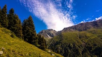landscape of The green mountains with coniferous trees