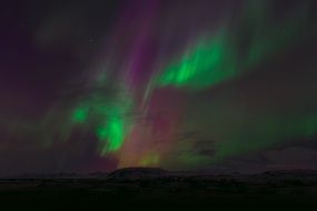 northern lights \