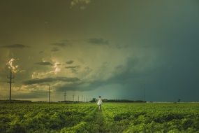 woman walking through the field