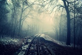 railway in the mystical forest