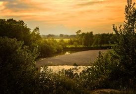 Landscape of the river and forest in summer