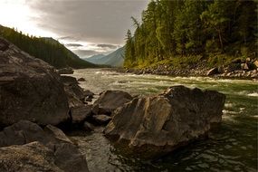 rough river along the forest