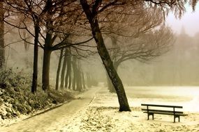 beautiful park in winter ,nature