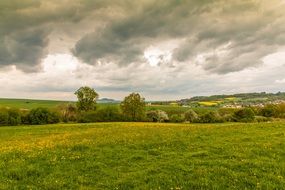 landscape of dandelion meadow and grey clouds