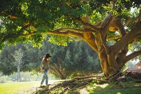 girl under a big beautiful tree