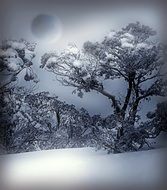 winter December landscape