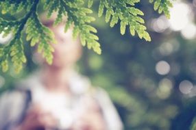 leaves blurry