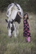 girl and horse on a meadow