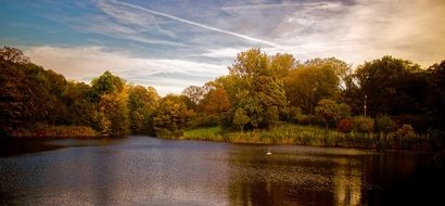 Landscape of the water and forest in autumn