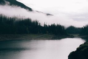 scenic nature in a foggy haze