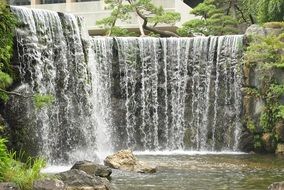 waterfall in nature among greenery