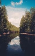 river in the wild forest