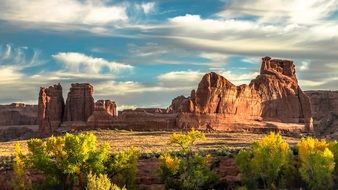 Green trees near the sandstone