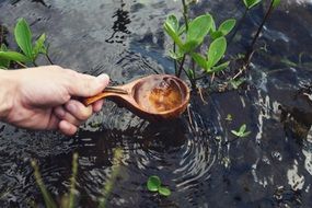 the man poured into a deep wooden spoon water from the river