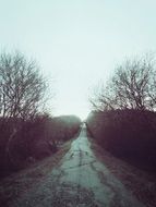 blurred road in the countryside