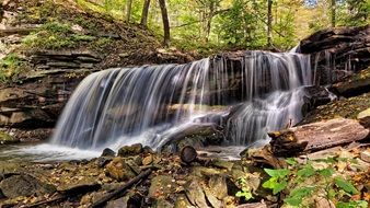 waterfall in a woodland