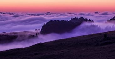 foggy autumn morning, colorful landscape