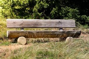 bank wooden bench in forest