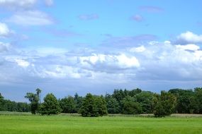 beautiful landscape of sunny day with green plants in countryside in Hessen, Germany