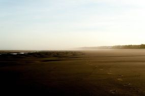 panorama of the endless sandy beach