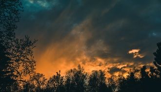 sunset sky over the trees