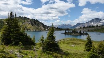 Beautiful water, plants and mountains in Nature in Canada