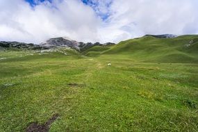 meadow green hills highlands landscape